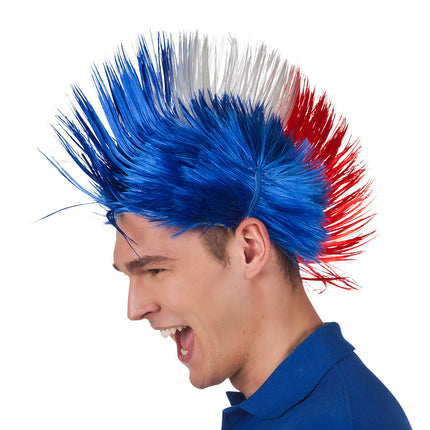 Wig Punk France