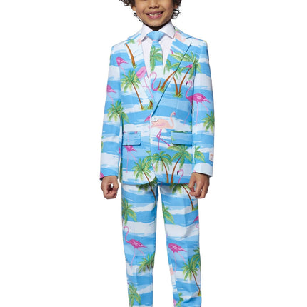 Hawaii Suit Boy Flamingo