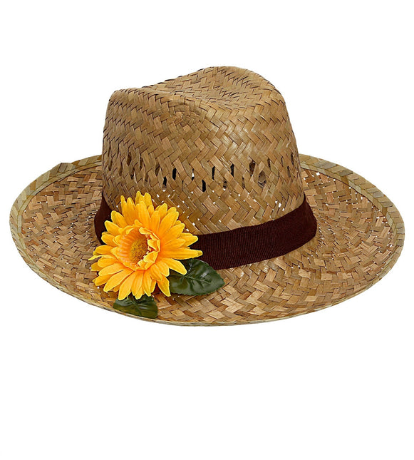 Hawaii Hat Cane