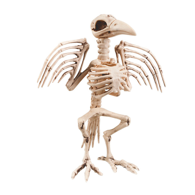 Halloween Skeleton Crow 32cm