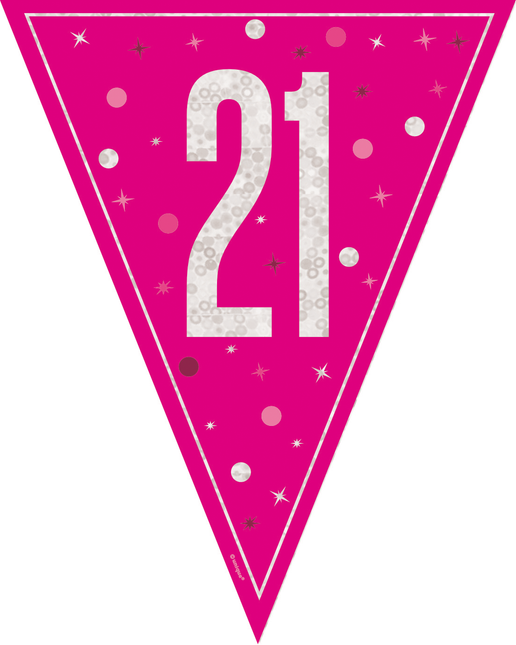 21 Years Garland Pink 2,5 m