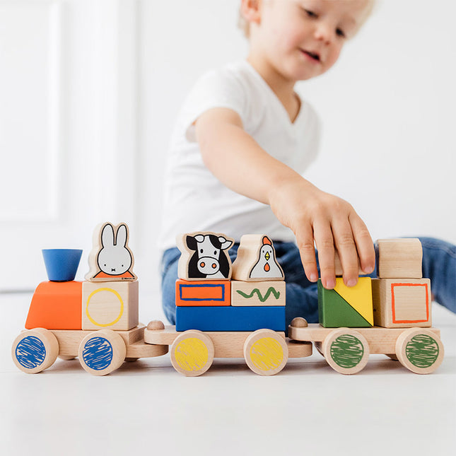 Miffy Block Train