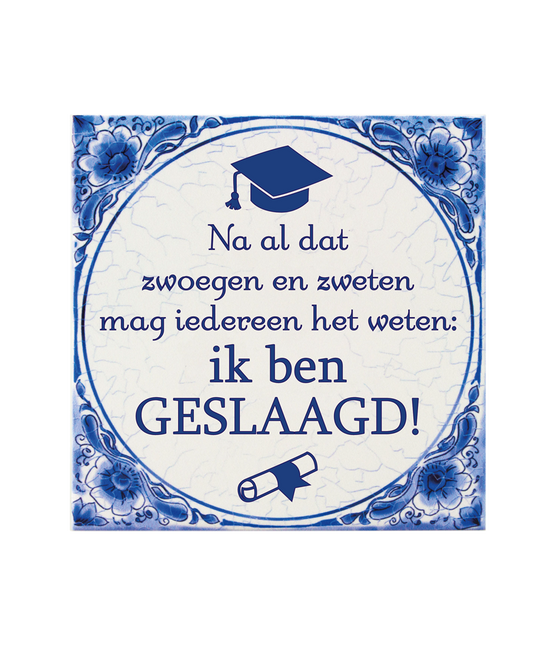 Delft Blue Tile Graduated School 15cm