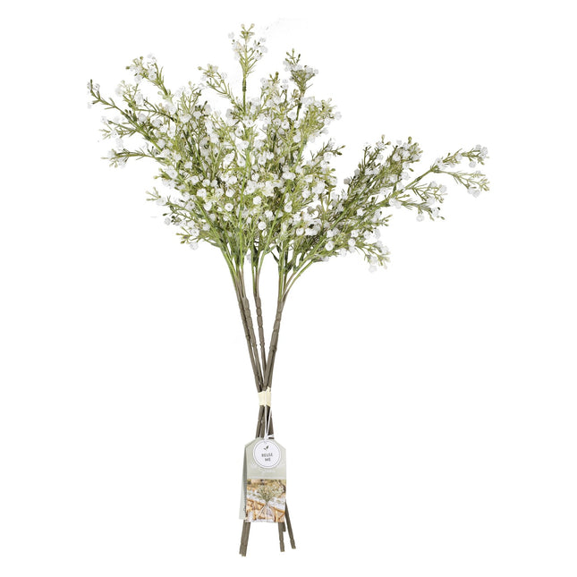 Suche kwiaty Gypsophilia Łodygi 40cm 5szt