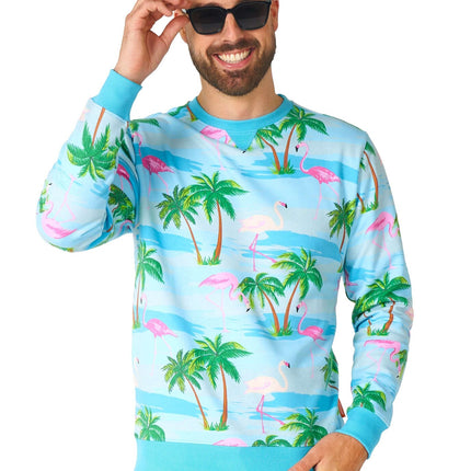 Hawaii Flamingo Sweater Men <tc>OppoSuits</tc>