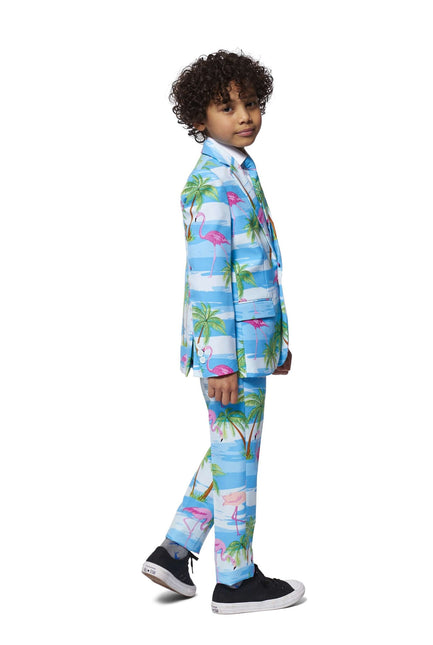 Hawaii Suit Boy Flamingo