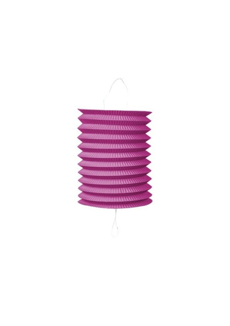 Fuchsia Lampion Trek 16 cm