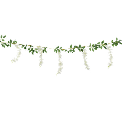 Garland Wisteria 1,7 m