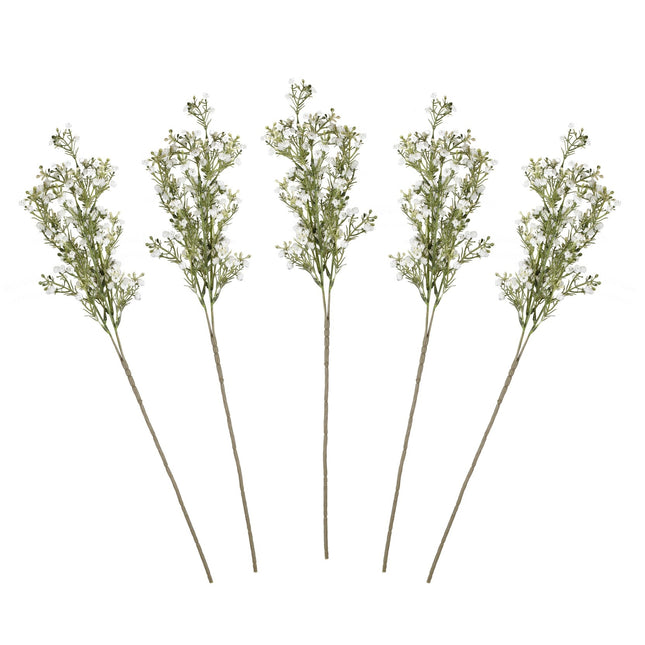 Suche kwiaty Gypsophilia Łodygi 40cm 5szt