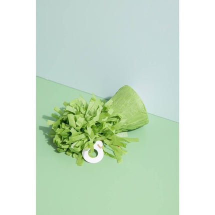 Groene Ballon Gewicht Mat 170gr - Partywinkel - 8714572049658